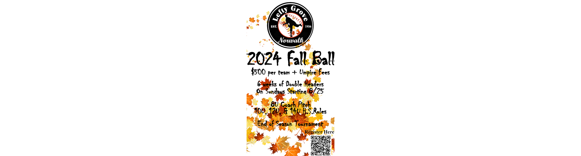2024 Fall Ball League